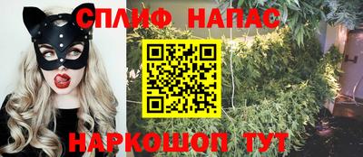 дживик Славгород