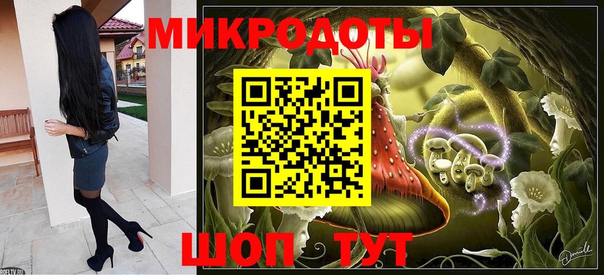 Псилоцибиновые грибы Psilocybine cubensis Петрозаводск
