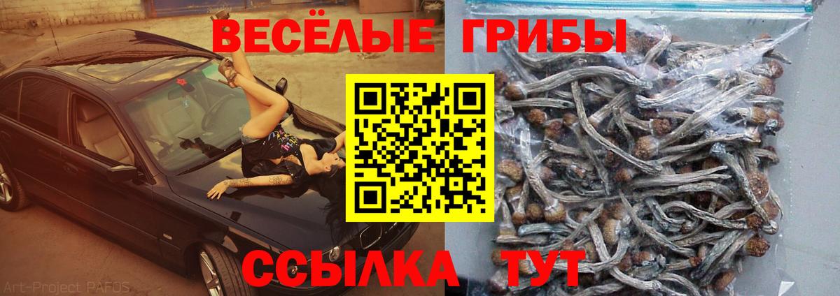 Галлюциногенные грибы мицелий  Галлюциногенные грибы GOLDEN TEACHER  Вход с VPN  Петрозаводск 